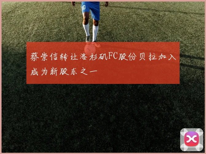 蔡崇信转让洛杉矶FC股份贝拉加入成为新股东之一