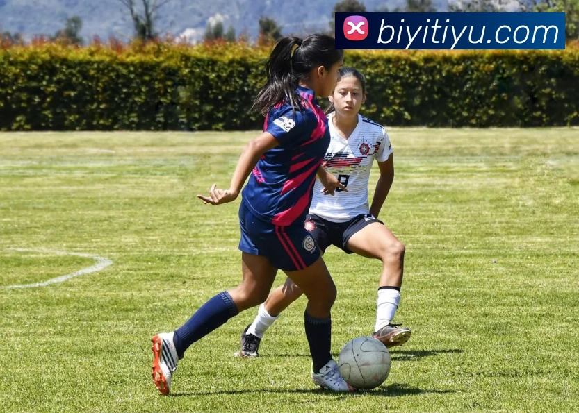 必一体育APP 封面图